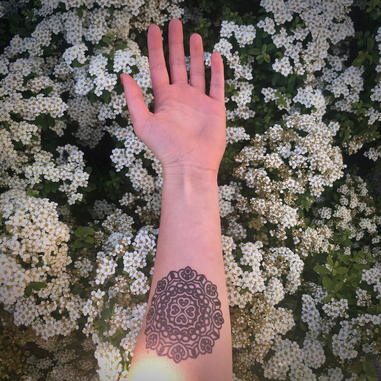 Mandala Dark Temporary Tattoo - Spiritual symbol, circle of life, tattoo design in black (3 Tattoos)