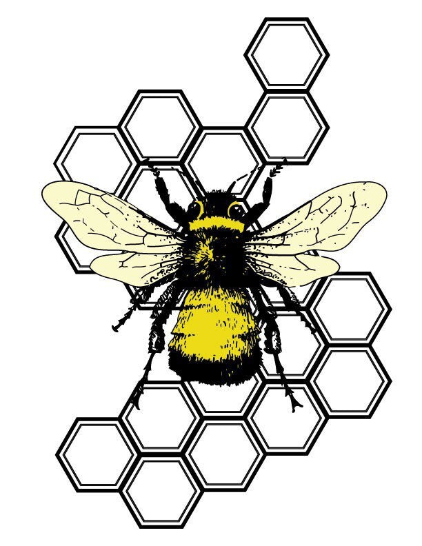 Bee on Honeycomb Temporary Tattoo | Honeybee insect in black and yellow, set of 3 tattoo